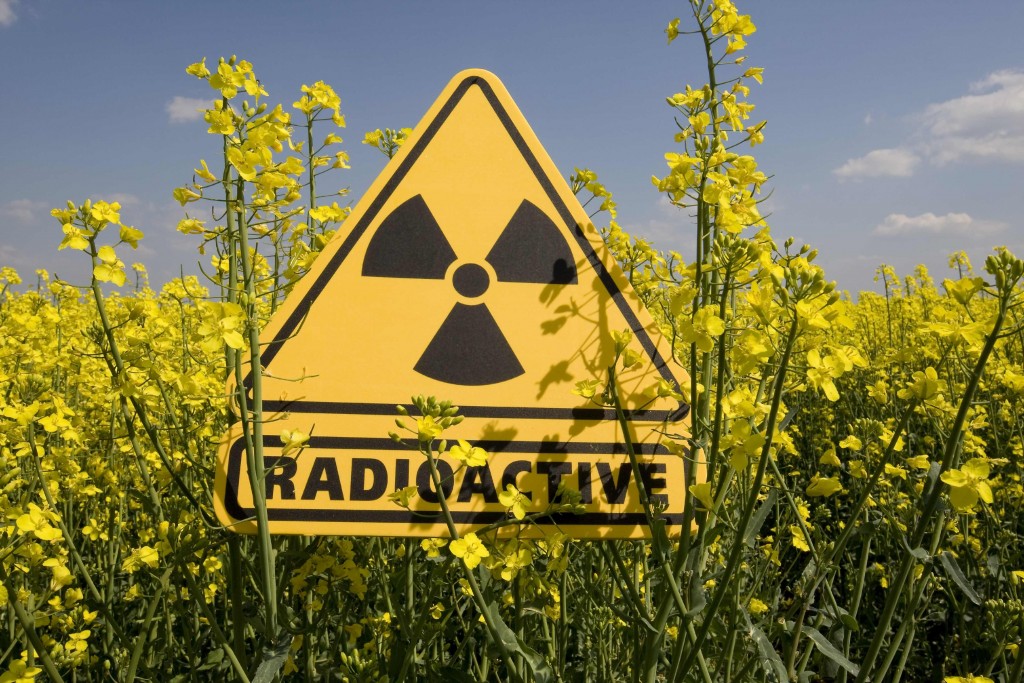 В Хмельницькій області найвищий рівень радіації у Шепетівці