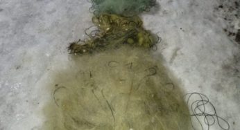 На Дністрі зняли понад півкілометра браконьєрських сіток