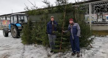 На Хмельниччині тривають новорічні ялинкові ярмарки