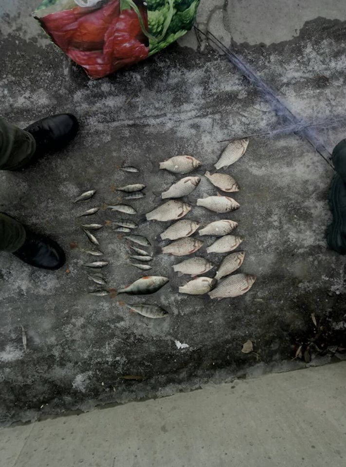 Хмельницький рибоохоронний патруль затримав майже 180 кг біоресурсів