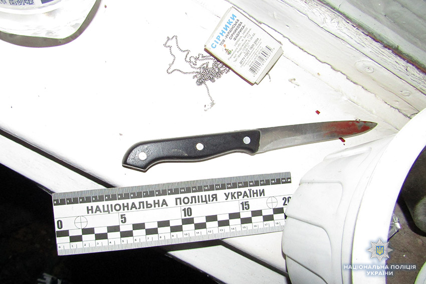 На Хмельниччині до 8,5 років позбавлення волі засудили жінку, яка ножем убила свого співмешканця
