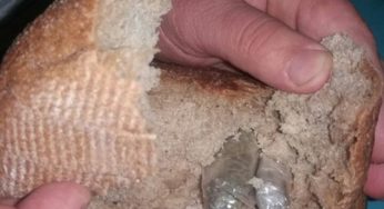 Співробітники СІЗО виявили в буханці хліба два поліетиленові згортки