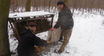 Лісівники Хмельниччини підгодовують дичину та збагачують “Озеро Святе” киснем