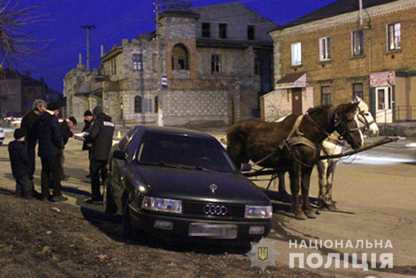 Досить курйозне ДТП сталося вчора ввечері в райцентрі Шепетівка. 24-річний чоловік, викравши пару коней, на такій швидкості мчав містом...