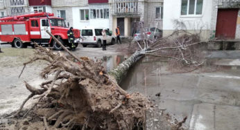 Зірвані дахи та повалені дерева: наслідки буревію на Хмельниччині