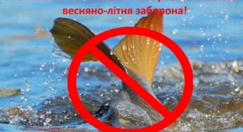 З 1 квітня на Хмельниччині стартує нерестова заборона на лов риби