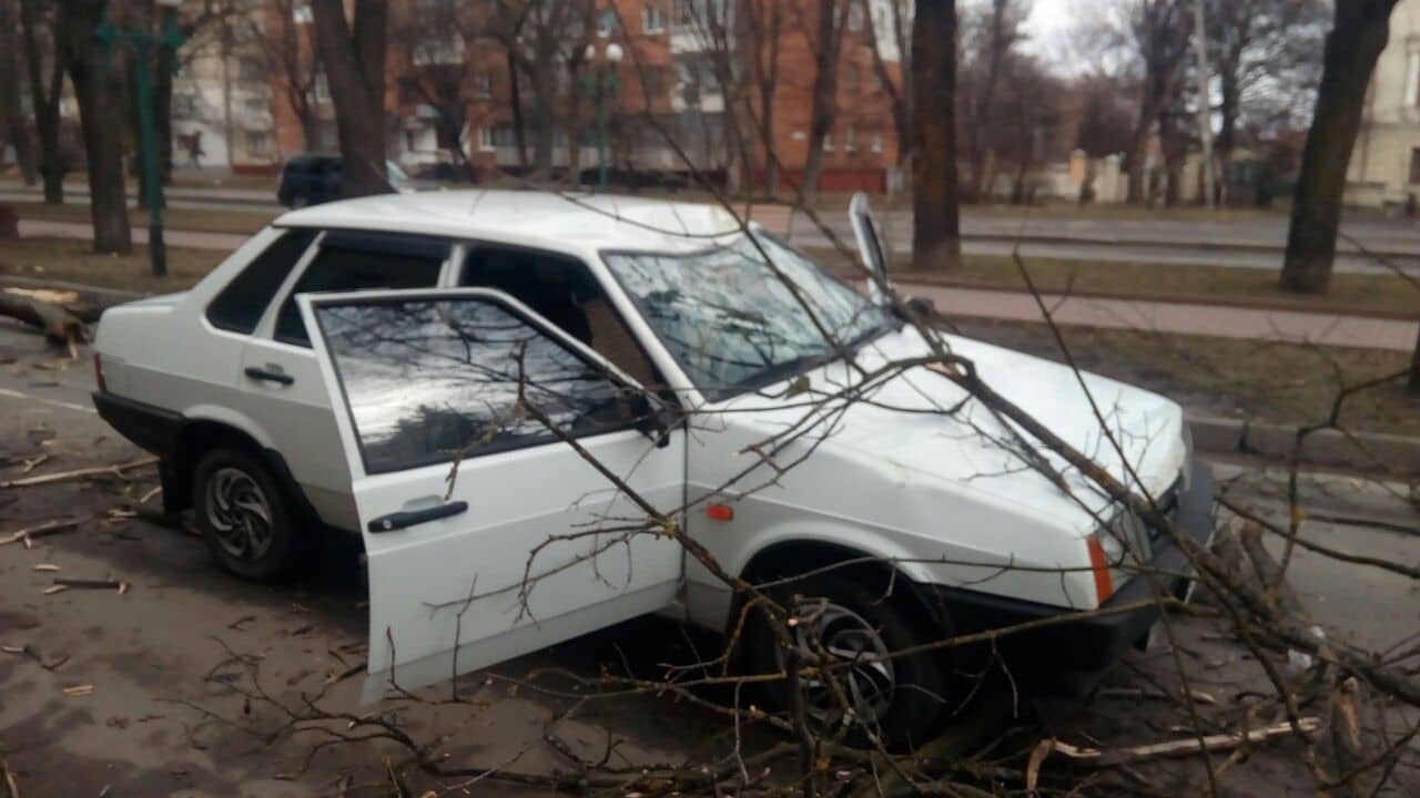 Буревій на Хмельниччині: повалені дерева та розбиті автівки