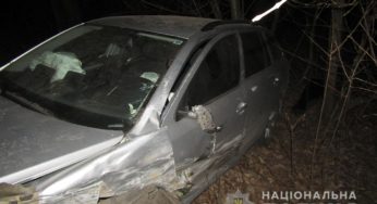 У Дунаєвецькому районі внаслідок ДТП загинув 28-річний водій
