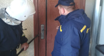 Рятувальники Кам’янця-Подільського врятували лебедя та відчинили двері квартири, всередині якої знаходився малюк