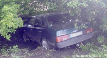 На Хмельниччині чоловік викрав із господарства автівку та скоїв на ній ДТП