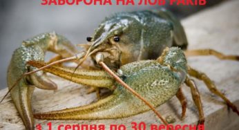 З 1 серпня на Хмельниччині заборонено ловити раків