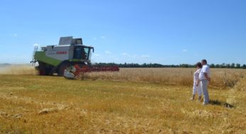Жнивна кампанія у розпалі
