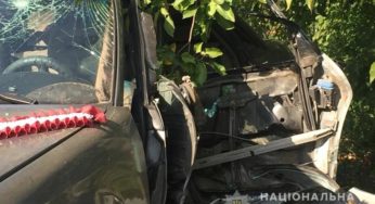 Слідчі відкрили кримінальне провадження за фактом ДТП зі смертельними наслідками у Летичеві