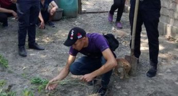 На Віньковеччині працівники поліції у домогосподарстві раніше судимого виявили незаконний посів конопель