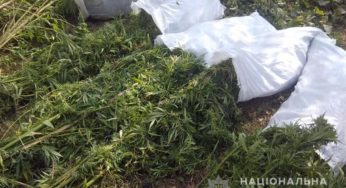 На Хмельниччині у 42-річного чоловіка поліцейські вилучили боєприпаси та наркотики