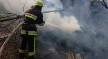 У селі Соколівка  вогнеборці ліквідували пожежу допоміжної будівлі