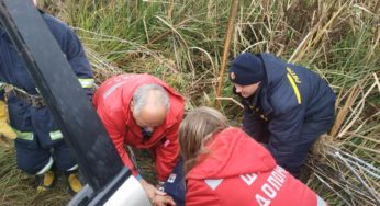 Старокостянтинівські рятувальники деблокували постраждалого з понівеченого внаслідок ДТП автомобіля