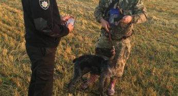 З 2 листопада стартує сезон полювання на парнокопитних та пушних звірів