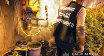 У Хмельницькому перед судом постане група «закладчиків», у яких вилучили наркотиків майже на 2 мільйони гривень