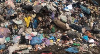 2 фури зі Львова приїхали на сміттєзвалище Шепетівки