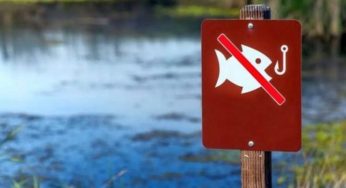 На Хмельниччині стартує нерестова заборона на вилов водних біоресурсів
