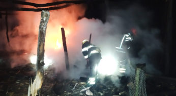 Рятувальники ліквідували пожежу в господарчій споруді