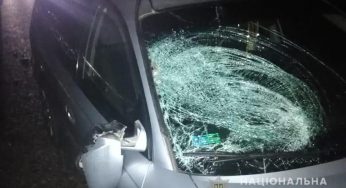 Поліцейські встановлюють обставини ДТП, у якій загинула 32-річна жінка