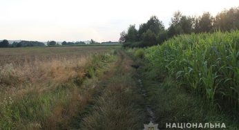 Поліцейські упродовж кількох годин встановили і затримали водія, який смертельно травмував 59-річного чоловіка і зник з місця ДТП
