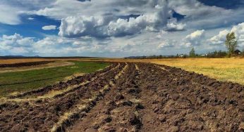 Як оформити спадщину на земельну частку (пай)