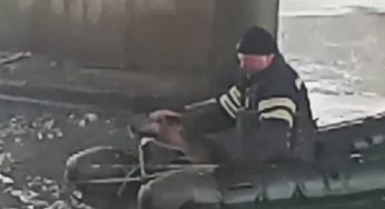 Полонський район: рятувальники визволили собаку з льодяної пастки
