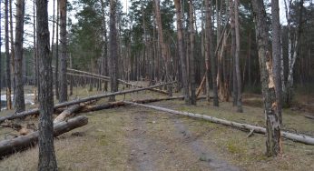 Адміністрація НПП «Мале Полісся» просить громадян не відвідувати території навколо озера Святого