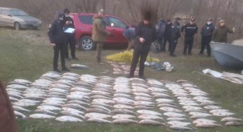 На Дністрі затримали браконьєрів, що ловили червонокнижну рибу: сума збитків – 1 млн 700 тисяч гривень