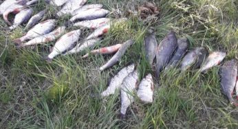 Мешканець Кам’янець-Подільського району заплатить 2856 гривень штрафу за ловлю риби сіткою