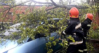 У Хмельницькому рятувальники прибрали дерево, яке впало на авто