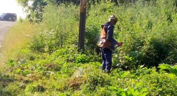 На боротьбу з борщівником з бюджету Хмельницької міської територіальної громади виділено 760 тисяч гривень