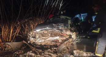 На Шепетівщині сталася смертельна ДТП