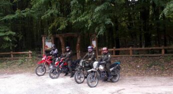 Лісівники Хмельниччини пересіли на двоколісні байки