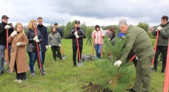 До дня міста у Хмельницькому посадили сосновий бір