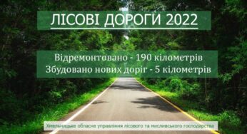 Лісові дороги 2022: скільки збудовано та відремонтовано?