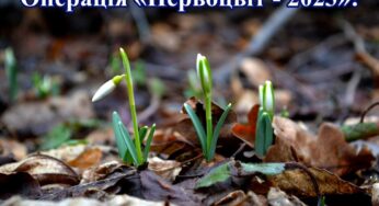 На Хмельниччині стартувала операції «Первоцвіт-2023»