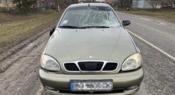 На Волочищині сталася ДТП, в якій постраждали мати з сином