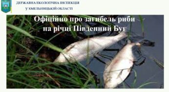 Риби загинуло на понад 500 тис. грн: проведено обстеження ділянки Хмельницького водосховища