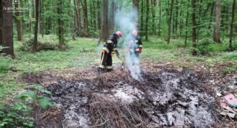 За добу вогнеборці Хмельниччини ліквідували 3 пожежі в екосистемах