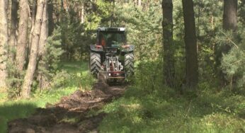 610 кілометрів мінералізованих смуг цьогоріч створять лісівники Хмельниччини