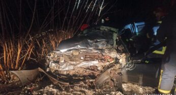 На Шепетівщині суд виніс вирок винуватцеві ДТП, в якій загинула 29-річна жінка