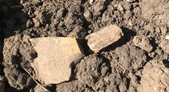 На Хмельниччині у завезеному комунальниками для клумб ґрунті знайшли трипільську кераміку