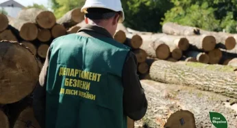 У Подільському лісовому офісі провели 16 перевірок та назвали найпоширеніші корупційні ризики