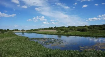 Хмельницька облрада планує передати землі двох заказників під мисливські угіддя фірмі, де співвласник – депутат від «Слуги народу»