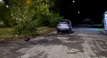 В Шепетівці відбулось зіткнення електросамокату та автомобіля «Renault»