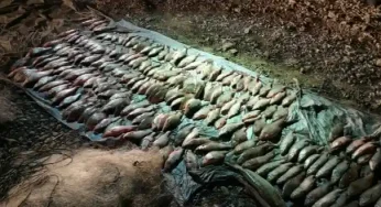 На Хмельниччині затримали браконьєра, який виловив 117 червонокнижних рибин на суму понад 4 млн гривень